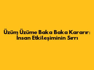 Üzüm Üzüme Baka Baka Kararır: İnsan Etkileşiminin Sırrı