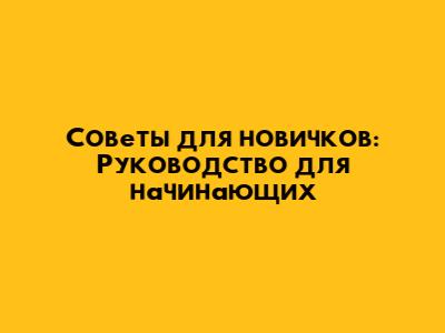 Советы для новичков: Руководство для начинающих