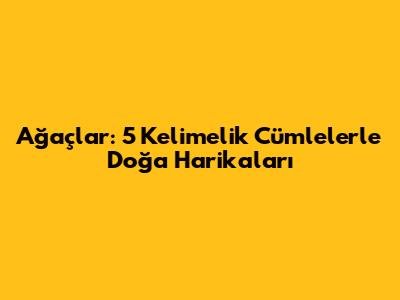 Ağaçlar: 5 Kelimelik Cümlelerle Doğa Harikaları