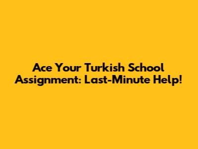 Ace Your Turkish School Assignment: Last-Minute Help!