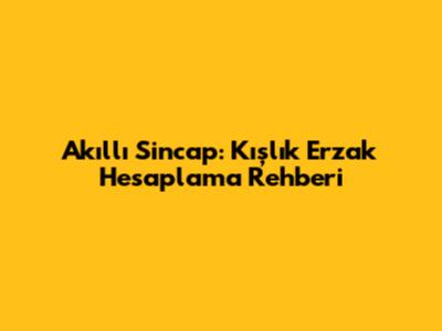 Akıllı Sincap: Kışlık Erzak Hesaplama Rehberi
