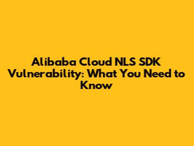 Alibaba Cloud NLS SDK Vulnerability: What You Need to Know