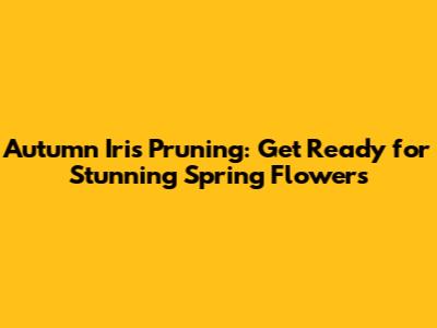Autumn Iris Pruning: Get Ready for Stunning Spring Flowers
