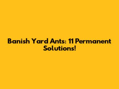 Banish Yard Ants: 11 Permanent Solutions!