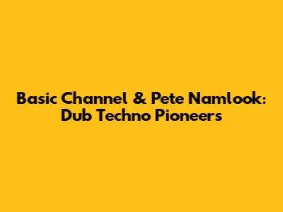 Basic Channel & Pete Namlook: Dub Techno Pioneers