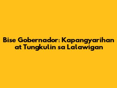 Bise Gobernador: Kapangyarihan at Tungkulin sa Lalawigan