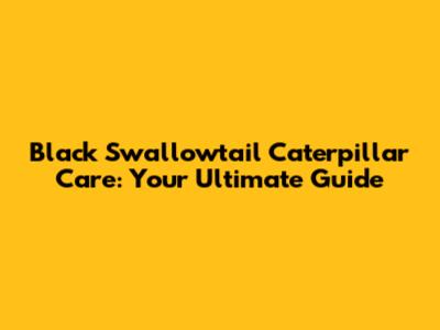Black Swallowtail Caterpillar Care: Your Ultimate Guide