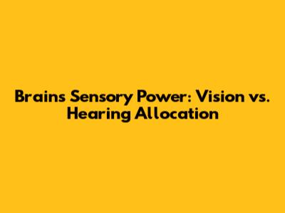 Brain's Sensory Power: Vision vs. Hearing Allocation