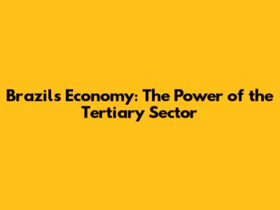 Brazil's Economy: The Power of the Tertiary Sector