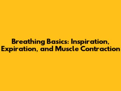 Breathing Basics: Inspiration, Expiration, and Muscle Contraction