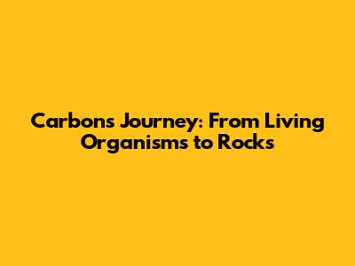 Carbon's Journey: From Living Organisms to Rocks