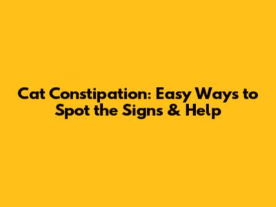 Cat Constipation: Easy Ways to Spot the Signs & Help