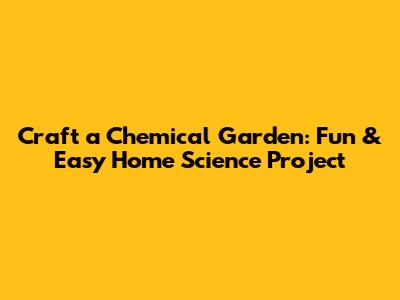 Craft a Chemical Garden: Fun & Easy Home Science Project