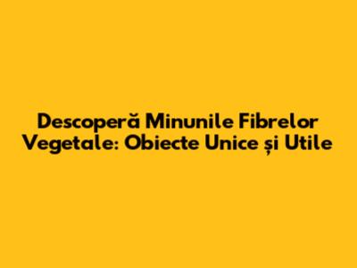 Descoperă Minunile Fibrelor Vegetale: Obiecte Unice și Utile