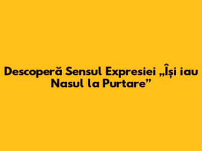 Descoperă Sensul Expresiei „Își iau Nasul la Purtare”
