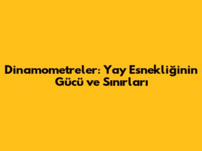 Dinamometreler: Yay Esnekliğinin Gücü ve Sınırları