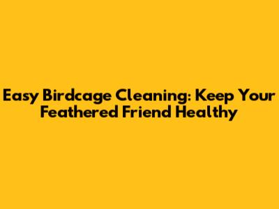 Easy Birdcage Cleaning: Keep Your Feathered Friend Healthy