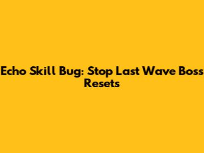 Echo Skill Bug: Stop Last Wave Boss Resets