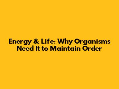 Energy & Life: Why Organisms Need It to Maintain Order