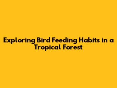 Exploring Bird Feeding Habits in a Tropical Forest