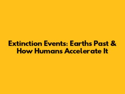 Extinction Events: Earth's Past & How Humans Accelerate It