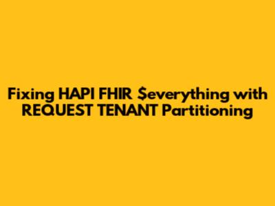 Fixing HAPI FHIR $everything with REQUEST_TENANT Partitioning