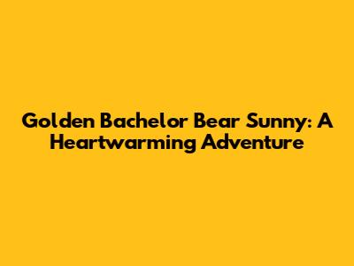 Golden Bachelor Bear Sunny: A Heartwarming Adventure