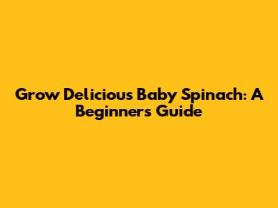Grow Delicious Baby Spinach: A Beginner's Guide