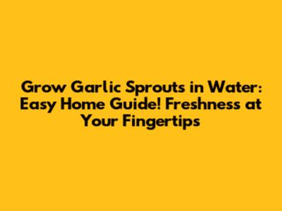 Grow Garlic Sprouts in Water: Easy Home Guide! Freshness at Your Fingertips