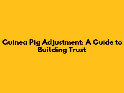 Guinea Pig Adjustment: A Guide to Building Trust