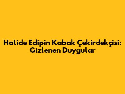 Halide Edip'in Kabak Çekirdekçi'si: Gizlenen Duygular