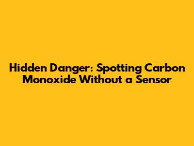 Hidden Danger: Spotting Carbon Monoxide Without a Sensor