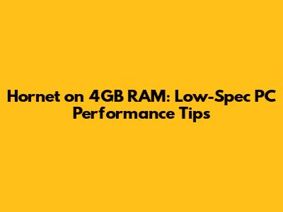 Hornet on 4GB RAM: Low-Spec PC Performance Tips