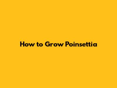 How to Grow Poinsettia
