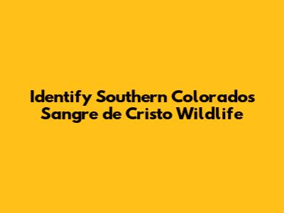 Identify Southern Colorado's Sangre de Cristo Wildlife