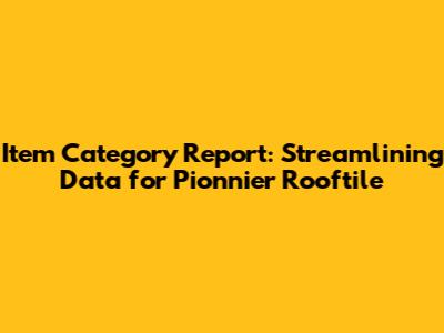 Item Category Report: Streamlining Data for Pionnier Rooftile
