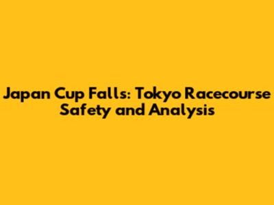 Japan Cup Falls: Tokyo Racecourse Safety and Analysis