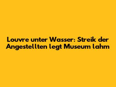 Louvre unter Wasser: Streik der Angestellten legt Museum lahm