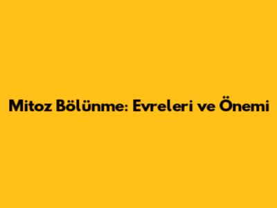 Mitoz Bölünme: Evreleri ve Önemi