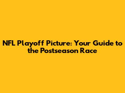 NFL Playoff Picture: Your Guide to the Postseason Race