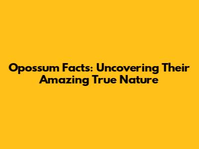 Opossum Facts: Uncovering Their Amazing True Nature