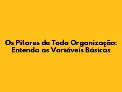 Os Pilares de Toda Organização: Entenda as Variáveis Básicas