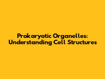 Prokaryotic Organelles: Understanding Cell Structures