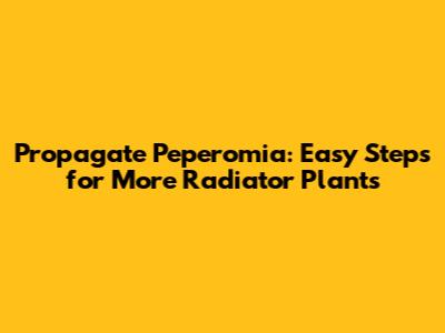 Propagate Peperomia: Easy Steps for More Radiator Plants