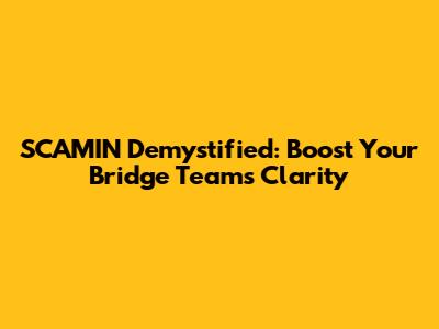 SCAMIN Demystified: Boost Your Bridge Team's Clarity