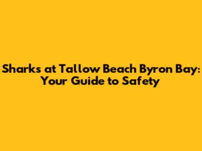 Sharks at Tallow Beach Byron Bay: Your Guide to Safety