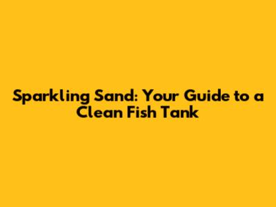Sparkling Sand: Your Guide to a Clean Fish Tank