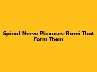 Spinal Nerve Plexuses: Rami That Form Them