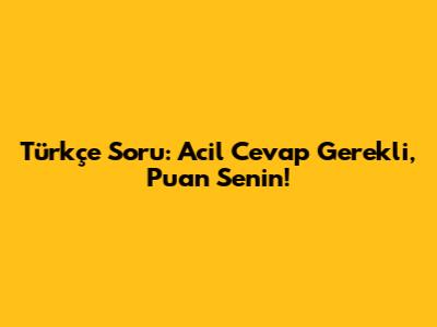 Türkçe Soru: Acil Cevap Gerekli, Puan Senin!