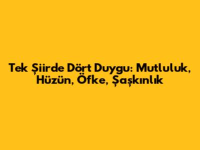 Tek Şiirde Dört Duygu: Mutluluk, Hüzün, Öfke, Şaşkınlık